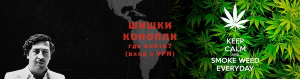 МДМА Бородино
