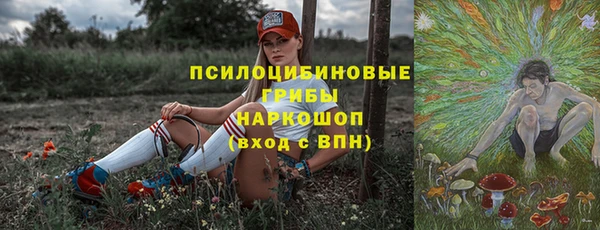 ПСИЛОЦИБИНОВЫЕ ГРИБЫ Верея