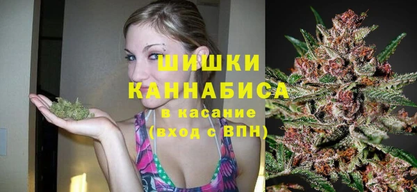 ПСИЛОЦИБИНОВЫЕ ГРИБЫ Верея