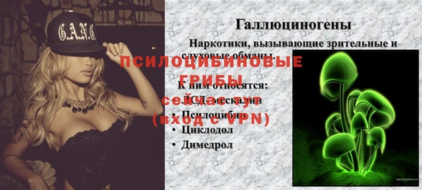 индика Верхнеуральск
