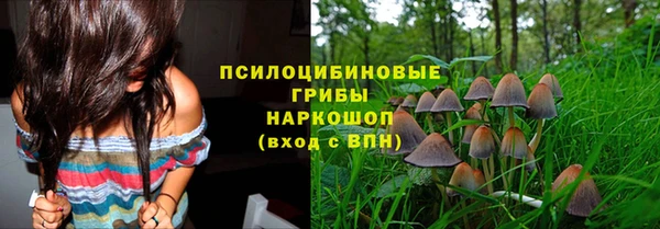индика Верхнеуральск