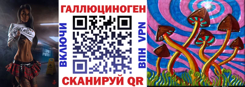 нарко площадка какой сайт kraken tor Гатчина Галлюциногенные грибы мицелий