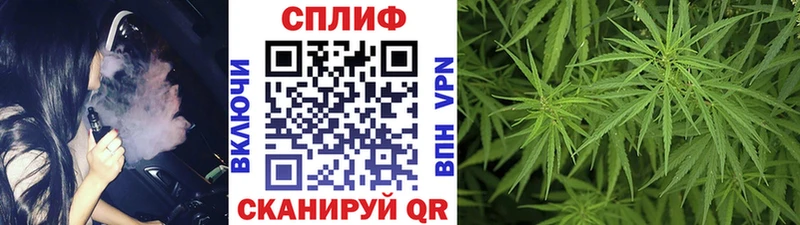 Канабис Ganja Гатчина
