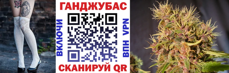Канабис сатива  Гатчина 